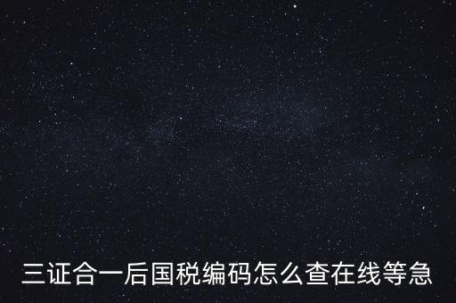 如何查詢個人稅務(wù)編號查詢系統(tǒng)，請問在哪里可以查到納稅人編碼