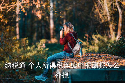 源泉扣繳如何補(bǔ)申報(bào)，個(gè)人所得稅代扣代繳系統(tǒng) 補(bǔ)申報(bào)怎樣操作