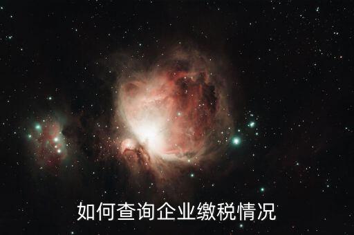如何查詢企業(yè)繳稅情況，去哪里可以查到一個(gè)企業(yè)的納稅狀況
