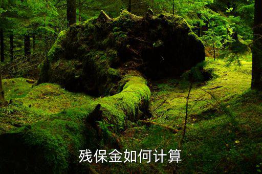 廣西殘疾人保障金如何計(jì)算方法，殘保金怎么計(jì)算
