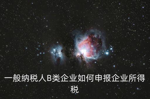 一般納稅人B類(lèi)企業(yè)如何申報(bào)企業(yè)所得稅