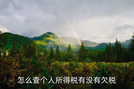 個人企業(yè)如何查欠稅啊，個體工商戶怎么查詢是否欠稅