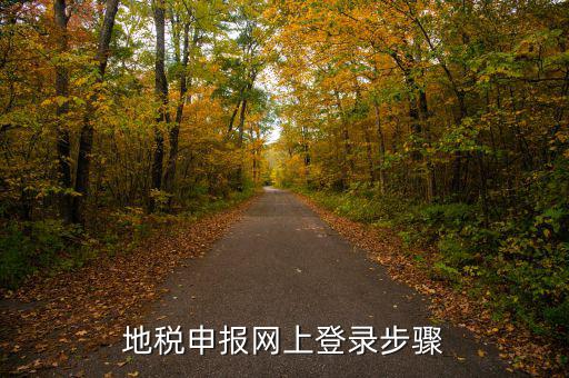 廣西國(guó)稅地稅如何網(wǎng)上申報(bào)，稅務(wù)申報(bào)如何網(wǎng)上申報(bào)
