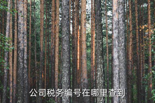如何查遼寧省國稅局納稅識別號，跪求 在哪點能查詢到納稅人識別號