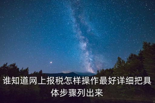 如何進行網(wǎng)上納稅申報，如何進行網(wǎng)上申報稅款