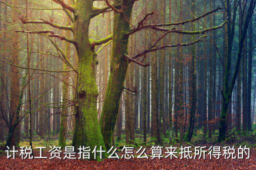 工資如何抵扣所得稅，企業(yè)所得稅工資抵扣的一些訣竅
