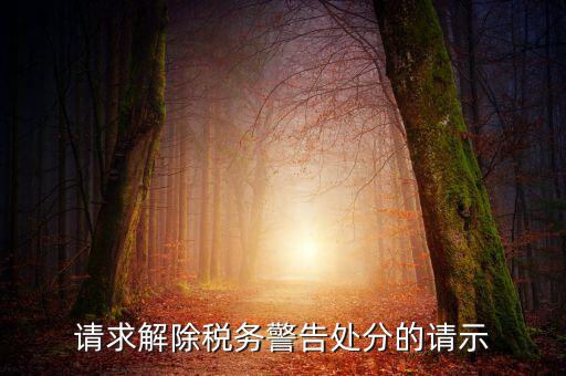 四川省稅務(wù)處罰信息如何消除，請求解除稅務(wù)警告處分的請示