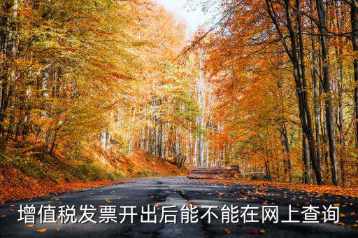 如何查詢發(fā)票完稅，稅控軟件上已經(jīng)開(kāi)的發(fā)票怎么查詢