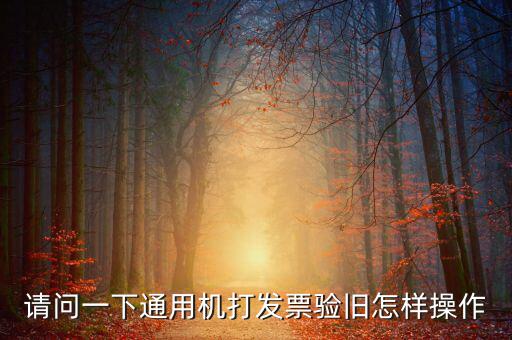 定額通用發(fā)票如何驗舊，請問一下通用機(jī)打發(fā)票驗舊怎樣操作