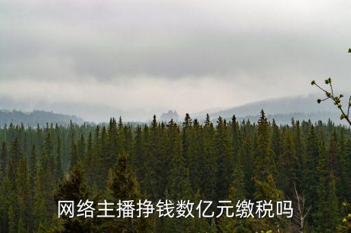 網絡主播掙錢數(shù)億元繳稅嗎