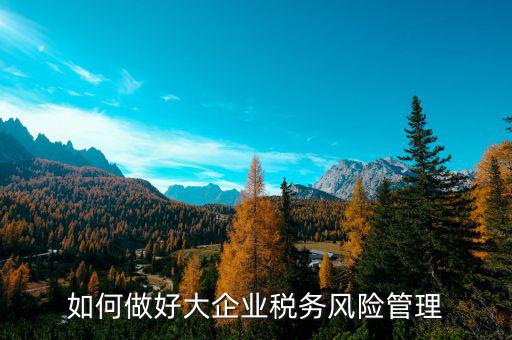 如何加強對重點企業(yè)的稅務管理，加強大企業(yè)的稅收管理有何良策