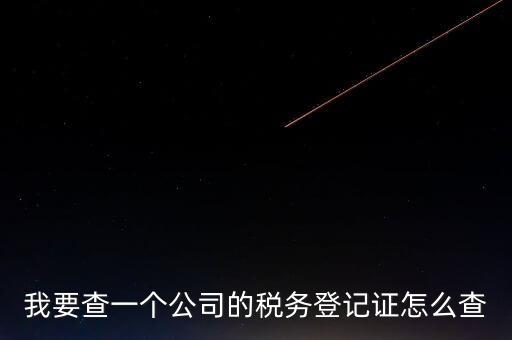 如何查企業(yè)的稅收記錄，想查一個公司的稅費情況怎么查