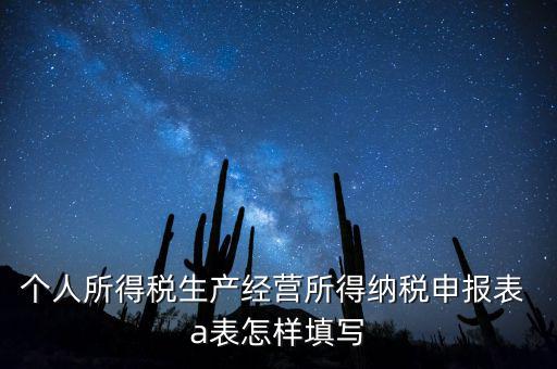個(gè)人經(jīng)營所得申報(bào)表a表如何填，個(gè)人所得稅經(jīng)營所得稅申報(bào)表a表怎么填