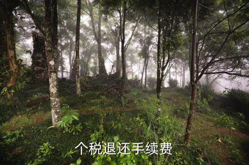 個稅退還手續(xù)費(fèi)