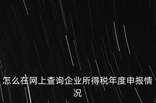 怎么在網(wǎng)上查詢(xún)企業(yè)所得稅年度申報(bào)情況