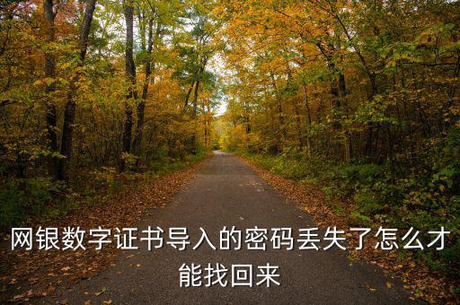 數(shù)字證書密碼錯(cuò)誤如何找回，營業(yè)執(zhí)照數(shù)字證書密碼忘記了 怎么辦
