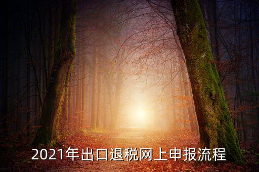如何登錄出口退稅網(wǎng)，出口退稅申報(bào)流程操作