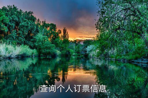 如何查買(mǎi)票信息查詢(xún)，12306可以查買(mǎi)票信息嗎