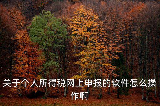 關于個人所得稅網(wǎng)上申報的軟件怎么操作啊
