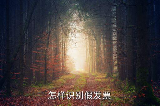 如何驗證假發(fā)票，怎么識別假發(fā)票啊