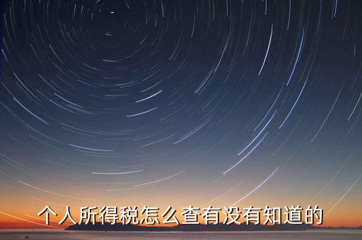 張家港個(gè)人所得稅如何查詢(xún)，個(gè)人所得稅怎么查有沒(méi)有知道的