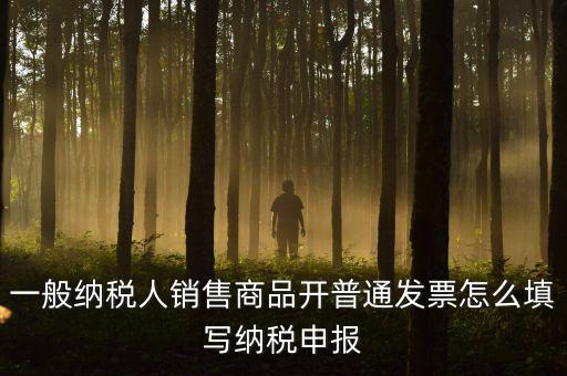 一般納稅人銷售商品開(kāi)普通發(fā)票怎么填寫納稅申報(bào)