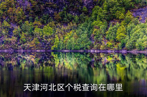 河北如何查詢個稅應納稅額，您好想咨詢一下現(xiàn)在個稅是全國聯(lián)網了么如北京地稅局可以查詢