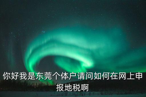 東莞個稅如何申報，你好我是東莞個體戶請問如何在網(wǎng)上申報地稅啊