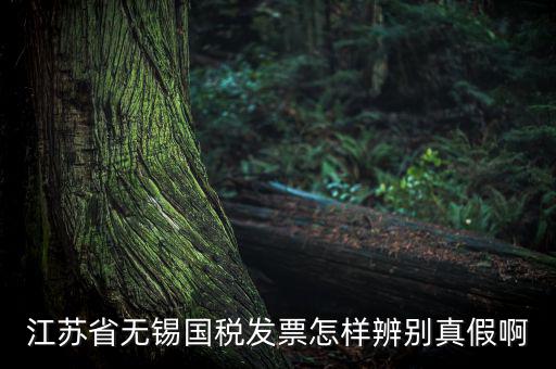 如何查詢無(wú)錫國(guó)稅發(fā)票真?zhèn)尾樵?，江蘇省無(wú)錫國(guó)稅發(fā)票怎樣辨別真假啊