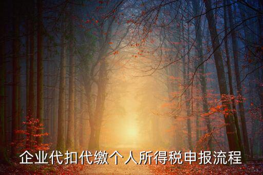 網(wǎng)上如何進(jìn)入代扣代繳申報(bào)，企業(yè)代扣代繳個(gè)人所得稅申報(bào)流程