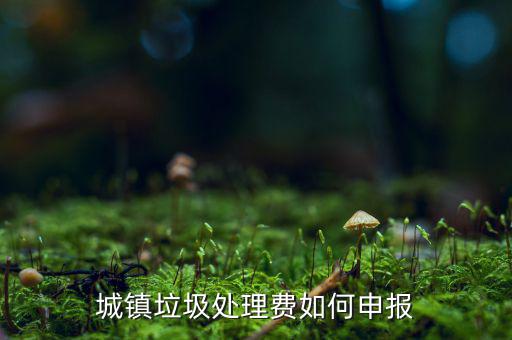 城市生活垃圾費(fèi)如何申報(bào)，城鎮(zhèn)垃圾處理費(fèi)如何申報(bào)