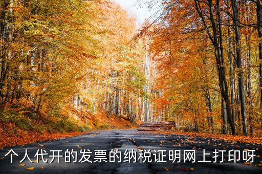 個(gè)人代開(kāi)的發(fā)票的納稅證明網(wǎng)上打印呀