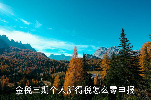金稅三期個人所得稅如何零申報表，金稅三期個人所得稅零申報流程