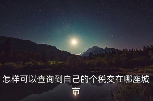如何查詢個(gè)人所得稅所交地點(diǎn)，怎樣可以查詢到自己的個(gè)稅交在哪座城市