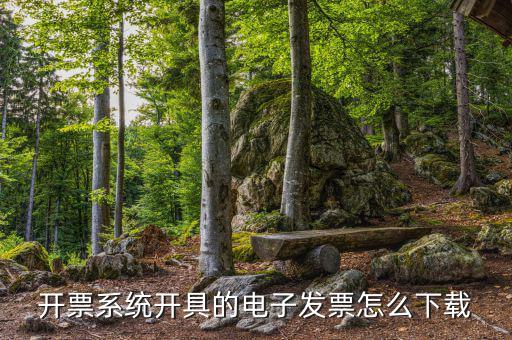 發(fā)票助手如何安裝在手機(jī)上，增值稅發(fā)票稅控開票軟件怎么安裝