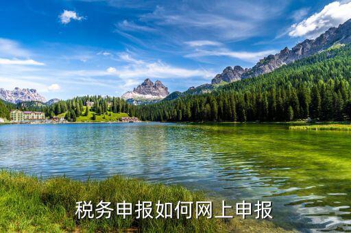 自然人如何網(wǎng)上報稅，稅務(wù)申報如何網(wǎng)上申報
