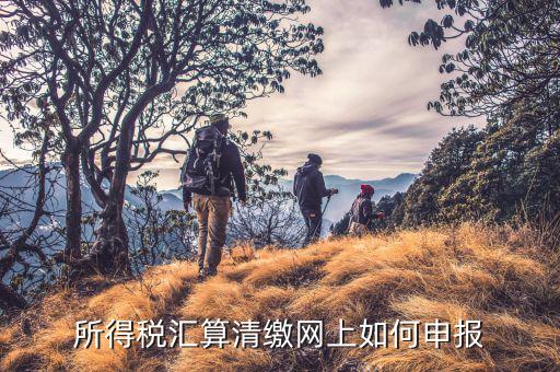 清稅申請如何在云稅廳申請，網(wǎng)上企業(yè)所得稅匯算清繳如何申報