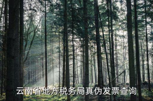 如何查詢?cè)颇蠂惏l(fā)票真?zhèn)尾樵?，云南省地方稅?wù)局真?zhèn)伟l(fā)票查詢