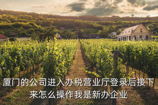 廈門公司如何辦理稅務(wù)，廈門公司如何申請(qǐng)一般納稅人