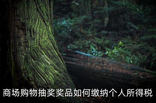 商場購物抽獎獎品如何繳納個(gè)人所得稅