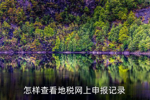 怎樣查看地稅網上申報記錄