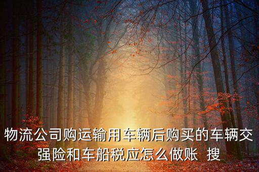 物流公司購(gòu)運(yùn)輸用車(chē)輛后購(gòu)買(mǎi)的車(chē)輛交強(qiáng)險(xiǎn)和車(chē)船稅應(yīng)怎么做賬  搜
