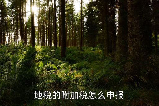 地稅附加稅如何申報表，城建稅教育費附加地方教育附加稅申報表怎么填