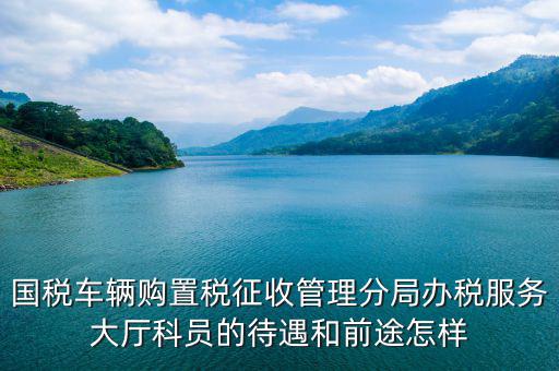 辦稅員工資如何，國稅車輛購置稅征收管理分局辦稅服務(wù)大廳科員的待遇和前途怎樣