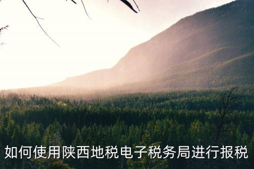 如何使用陜西地稅電子稅務局進行報稅