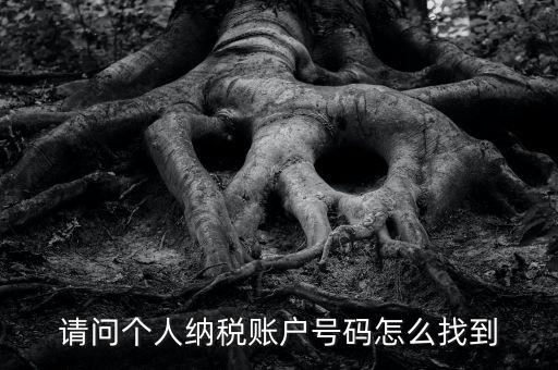 如何查詢個(gè)人稅務(wù)編號(hào)查詢，如何查看個(gè)人名下的稅務(wù)證