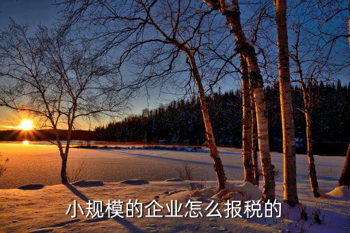 小企業(yè)會計如何報國稅，企業(yè)會計報稅流程是怎么樣的