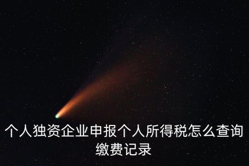 個人獨(dú)資企業(yè)申報個人所得稅怎么查詢繳費(fèi)記錄