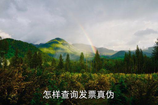 2018年如何查發(fā)票真?zhèn)?，如何發(fā)票查詢真?zhèn)?/></a></span><span id=