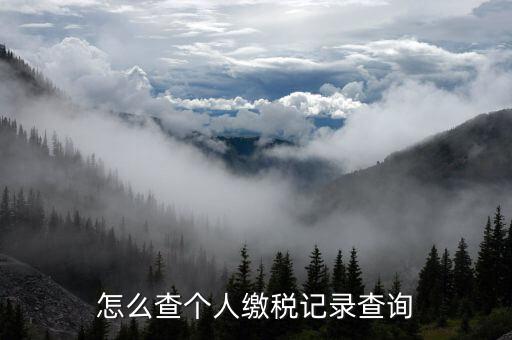 陜西省如何查詢個稅繳納記錄，怎樣查看個稅和附加稅是否已交